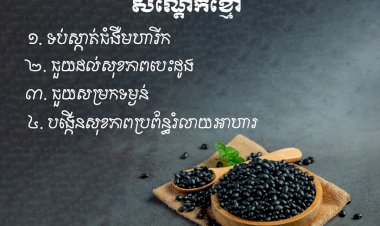 អត្ថប្រយោជន៍របស់សណ្តែកខ្មៅ