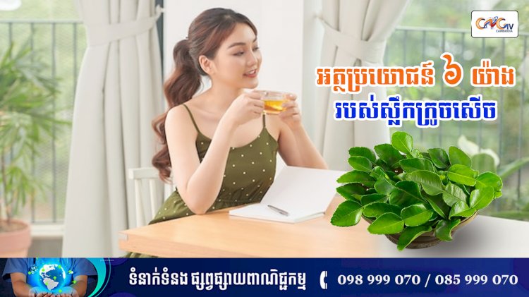 [វីដេអូ] នាទីសុខភាព Ep.148 ប្រធានបទ៖ អត្ថប្រយោជន៍ ៦ យ៉ាងរបស់ស្លឹកក្រូចសើច