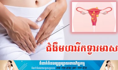 ប្រធានបទ ៖ ជំងឺមហារីកទ្វារមាស