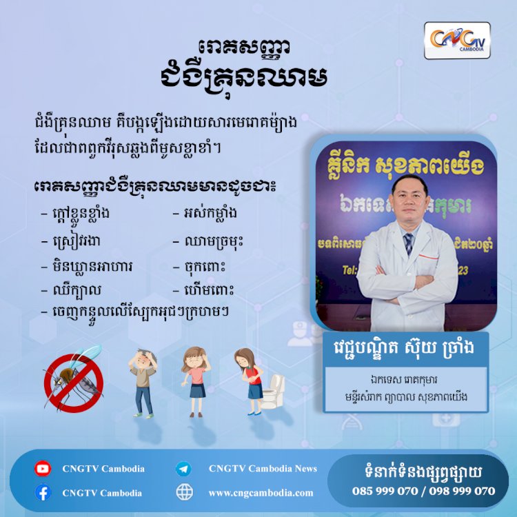 រោគសញ្ញានៃជំងឺគ្រុនឈាម