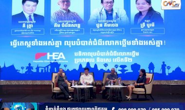 វេទិកាលុបបំបាត់ជំងឺរលាកថ្លើមប្រភេទបេ និងសេ លើកទី២