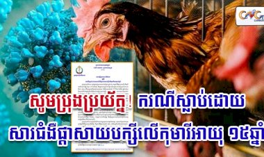 សូមប្រុងប្រយ័ត្ន! ករណីស្លាប់ដោយសារជំងឺផ្តាសាយបក្សីលើកុមារីអាយុ ១៥ឆ្នាំ