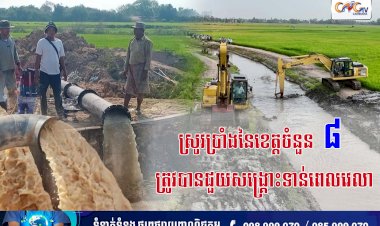 ស្រូវប្រាំងនៃខេត្តចំនួន ៨ ត្រូវបានជួយសង្គ្រោះទាន់ពេលវេលា