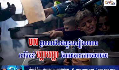 UN ផ្អាកការដឹកជញ្ជូនស្បៀងអាហារទៅតំបន់ហ្គាហ្សាចំពេលមានភាពចលាចល