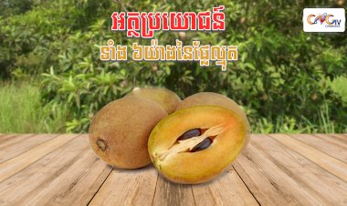 8 អត្ថប្រយោជន៍ដ៏អស្ចារ្យនៃផ្លែល្មុត