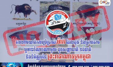 “ការហាមឃាត់ការប្រើប្រាស់ម៉ាកដែលដូច និងត្រាប់តាម ឬមានចំណុចណាមួយ ដូចសញ្ញាជាតិ ទង់ជាតិ និងនិមិត្តរូបនៃព្រះរាជាណាចក្រកម្ពុជា”