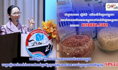 សិក្ខាសាលា ស្តីអំពី“លើសពីទីផ្សារកម្ពុជា៖ ការនាំយកផលិតផលកម្ពុជាទៅកាន់ទីផ្សារអន្តរជាតិតាមរយៈ Alibaba.com”