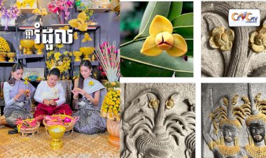 អត្ថប្រយោជន៍ផ្ការំដួល