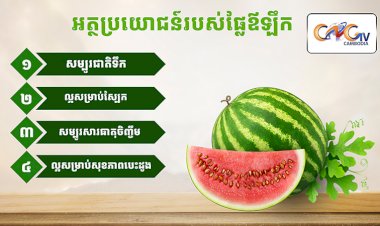 អត្ថប្រយោជន៍របស់ផ្លែឪឡឹក