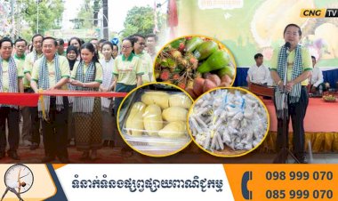កាលពីម្សិលមិញនេះ រដ្ឋបាលខេត្តបាត់ដំបង បើកព្រឹត្តិការណ៍ផ្លែឈើ២០២៥ ដោយមានការដាក់តាំងលក់បន្លែផ្លែឈើក្នុងស្រុកជាច្រើនមុខ