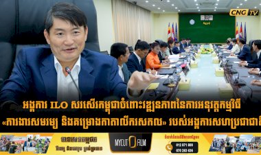 អង្គការ ILO សរសើរកម្ពុជាចំពោះវឌ្ឍនភាពនៃការអនុវត្តកម្មវិធី «ការងារសមរម្យ និងគម្រោងកាតាលីករសកល» របស់អង្គការសហប្រជាជាតិ