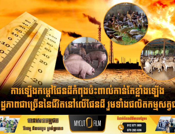 ការឡើងកម្ដៅផែនដីកំពុងប៉ះពាល់កាន់តែខ្លាំងឡើងដល់ទិដ្ឋភាពជាច្រើននៃជីវិតនៅលើផែនដី រួមទាំងផលិតកម្មសត្វផងដែរ
