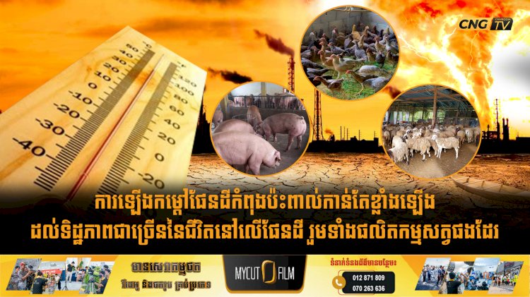 ការឡើងកម្ដៅផែនដីកំពុងប៉ះពាល់កាន់តែខ្លាំងឡើងដល់ទិដ្ឋភាពជាច្រើននៃជីវិតនៅលើផែនដី រួមទាំងផលិតកម្មសត្វផងដែរ