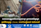 សាធារណរដ្ឋប្រជាធិបតេយ្យកុងហ្គោ ប្រកាសថាចំនួនអ្នកឆ្លងជំងឺអេបូឡា (Ebola) បានកើនឡើងដល់ ២៨២ ករណី