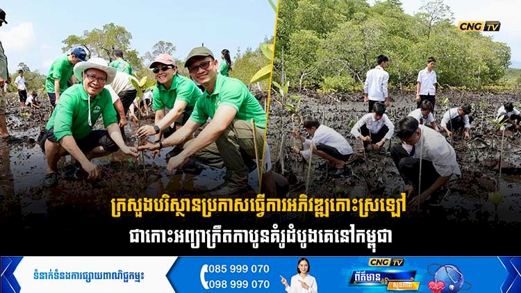 ក្រសួងបរិស្ថានប្រកាសធ្វើការអភិវឌ្ឍកោះស្រឡៅ ជាកោះអព្យាក្រឹតកាបូនគំរូដំបូងគេនៅកម្ពុជា